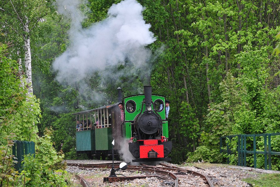 Henschel Heeresfeldbahnlok von Zastávka u Brna nach Důl Jindřich (3)